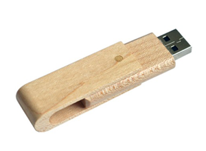 Pendrive Ecológico - Imagen 3