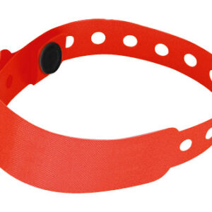 Pulcera Identificación - Imagen 8